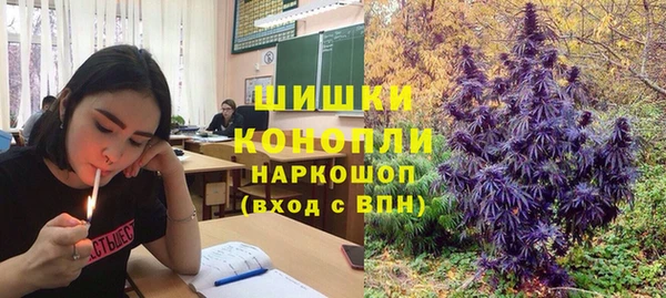 PSILOCYBIN Козловка