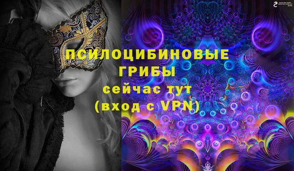 PSILOCYBIN Козловка