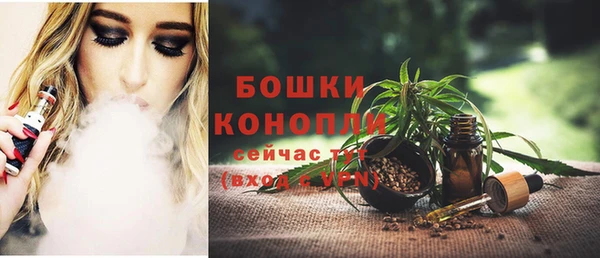 PSILOCYBIN Козловка