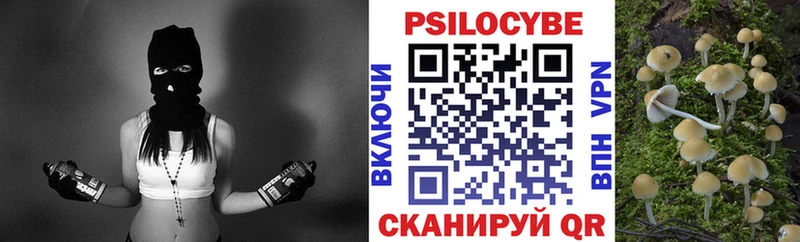 Купить  Билибино  Псилоцибиновые грибы MAGIC MUSHROOMS 